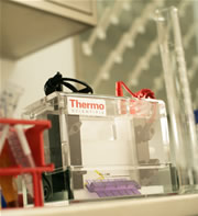 Thermo Scientific Owl Warranty